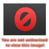 82365