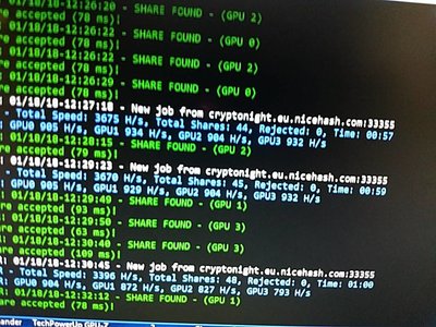 Без названия.jpeg