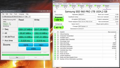 ssd.jpg