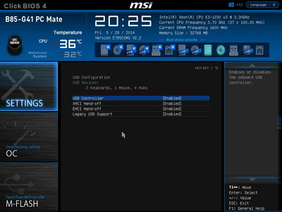 MSI_SnapShot_01.jpg