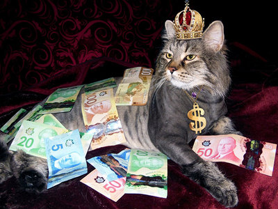 Money Cat.jpg