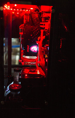 L1003855-web.jpg