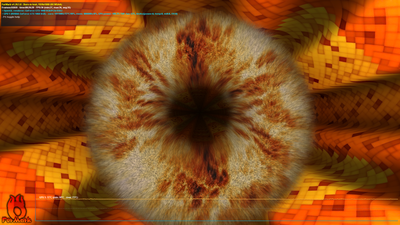 FurMark Screenshot 2018.12.18 - 19.06.48.74.png