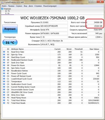 wd.jpg