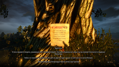 witcher_3_screen.png