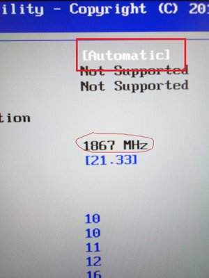 25604441.jpg
