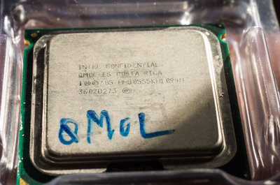 IMGP9255.jpg