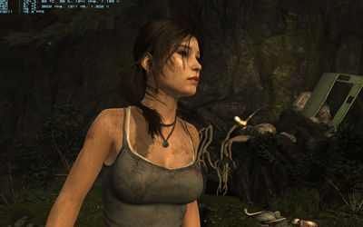 TombRaider_2014_07_19_18_58_46_849.png