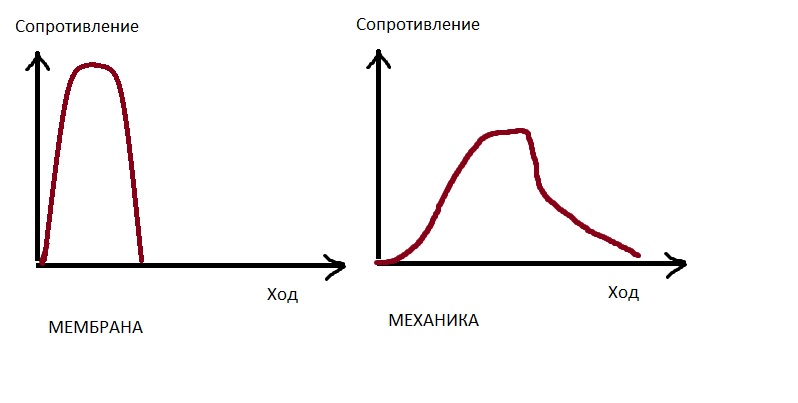 кАРТИНКА.jpg