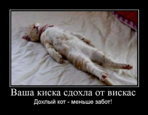 217540712[1].jpg