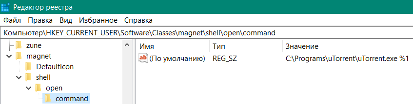 magnet_torrent2.png