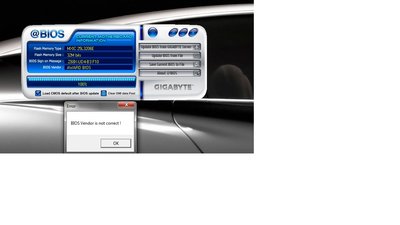 bios.jpg