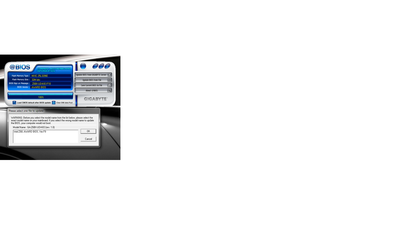 bios2.png