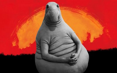 14858902954163 (1).jpg