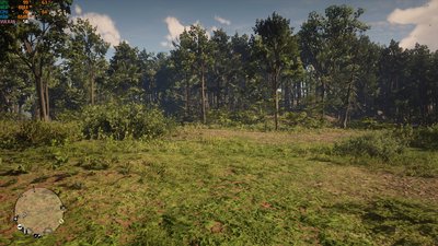 RDR2_2019_11_11_23_57_06_791.jpg