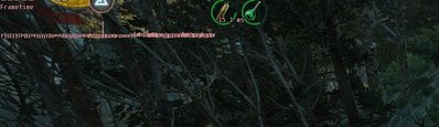 333.jpg