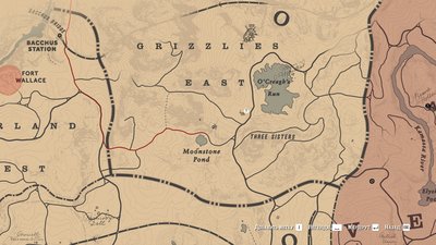 camp2.jpg