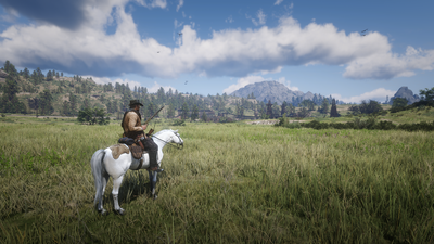 RDR2222.png