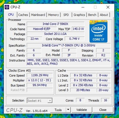 5960.jpg