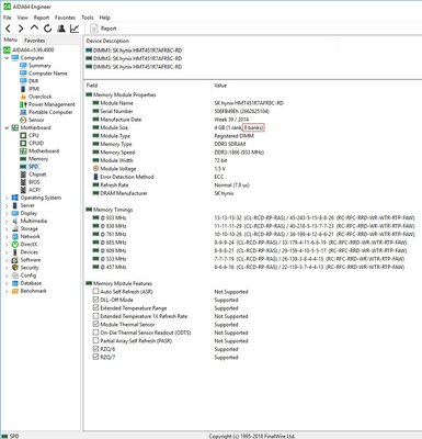 ECCREG4R1Hyniks_3.jpg
