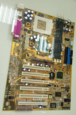 Купание куслового коня.jpg