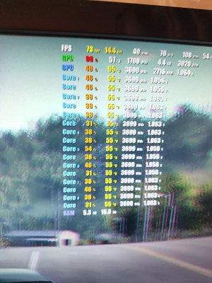 scc21.jpg