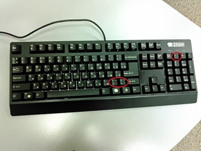 Zowie_Celeritras2.jpg