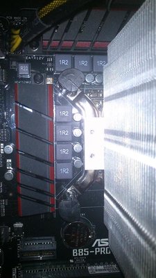 DSC_0385 (Large).jpg