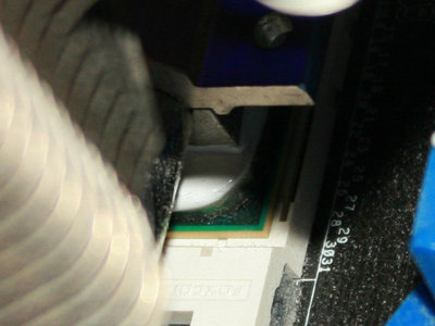 8320@4 and asus lion CROP.jpg