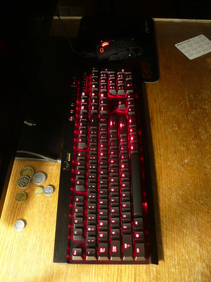 P1320099-.jpg