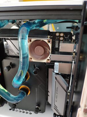 dS7_h52cttc.jpg