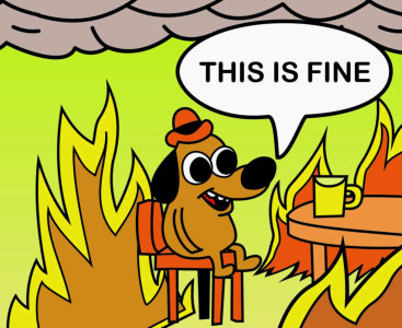 this is fine.jpg