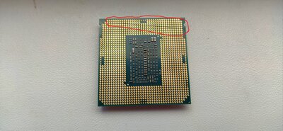 IMG_20200723_1307498.jpg