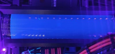 IMG_20190322_141312.jpg