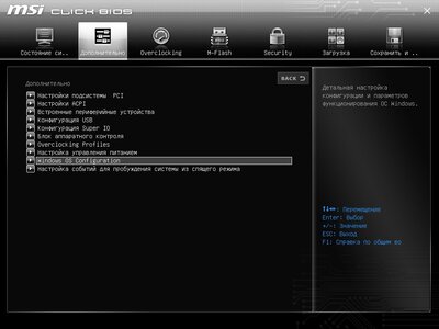 MSI_SnapShot1.jpg