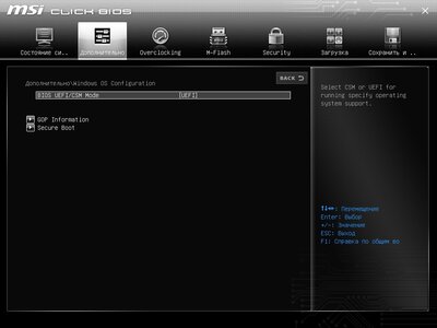 MSI_SnapShot3.jpg