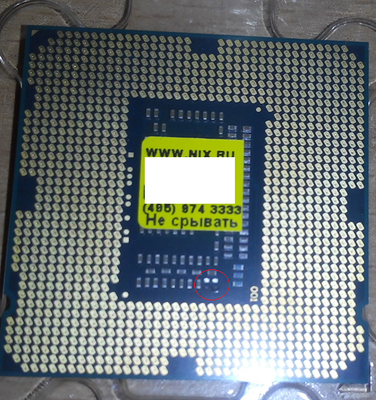 intel.png