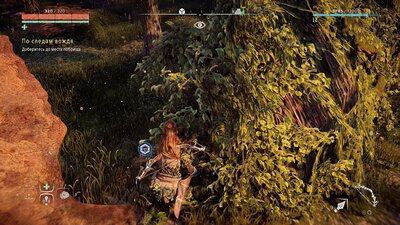 wtf.jpg