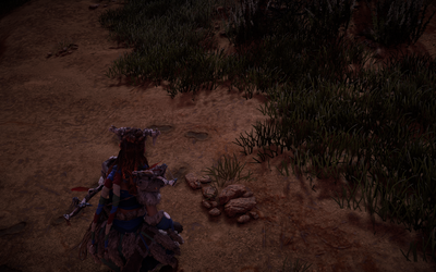 Horizon Zero Dawn_Thu_Aug_13_00-05-08_2020.png