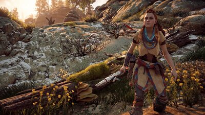 Horizon Zero Dawn_Sat_Aug__8_23-53-46_2020.jpg