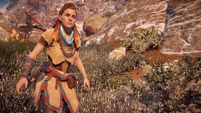 Horizon Zero Dawn_Sat_Aug__8_00-03-33_2020.jpg
