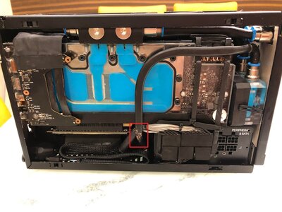 qtn9146lyns51.jpg