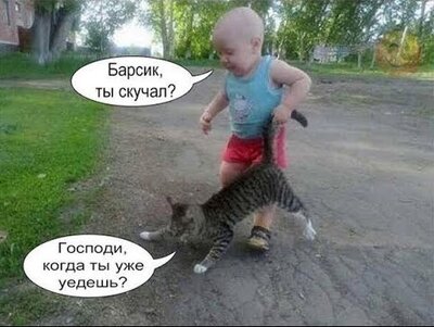 БАРСИК.jpg