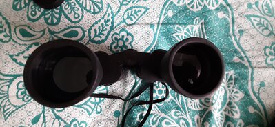 20201025_132423.jpg