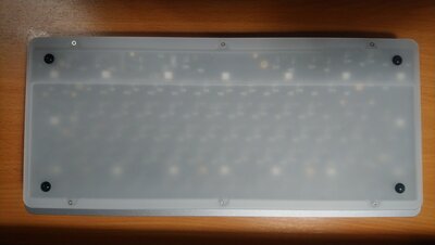 DSC_0542.JPG