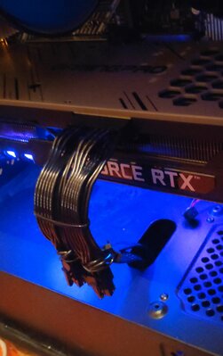 IMG_20201129_090107.jpg