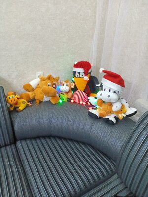 IMG20201231235025.jpg