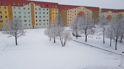 20210103_122411.jpg
