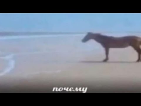 hqdefault.jpg