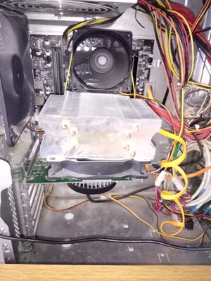 WhatsApp Image 2021-02-19 at 16.45.36.jpeg